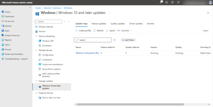 Windows-Update-Funktionen in Intune (Screenshot: Holger Voges)